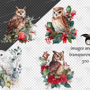 May include: Four watercolor illustrations of owls with red berries and flowers. The owls are brown and white with large eyes. The flowers are red and white. The illustrations are on a transparent background.