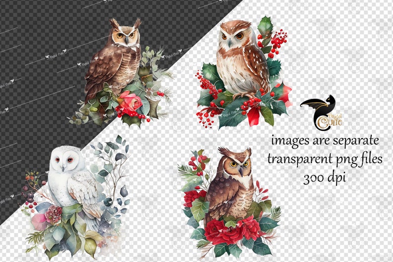 May include: Four watercolor illustrations of owls with red berries and flowers. The owls are brown and white with large eyes. The flowers are red and white. The illustrations are on a transparent background.