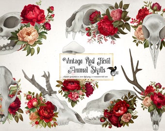 Vintage Floral Animal Skulls Clipart – Red Peony PNG (Commercial Use)