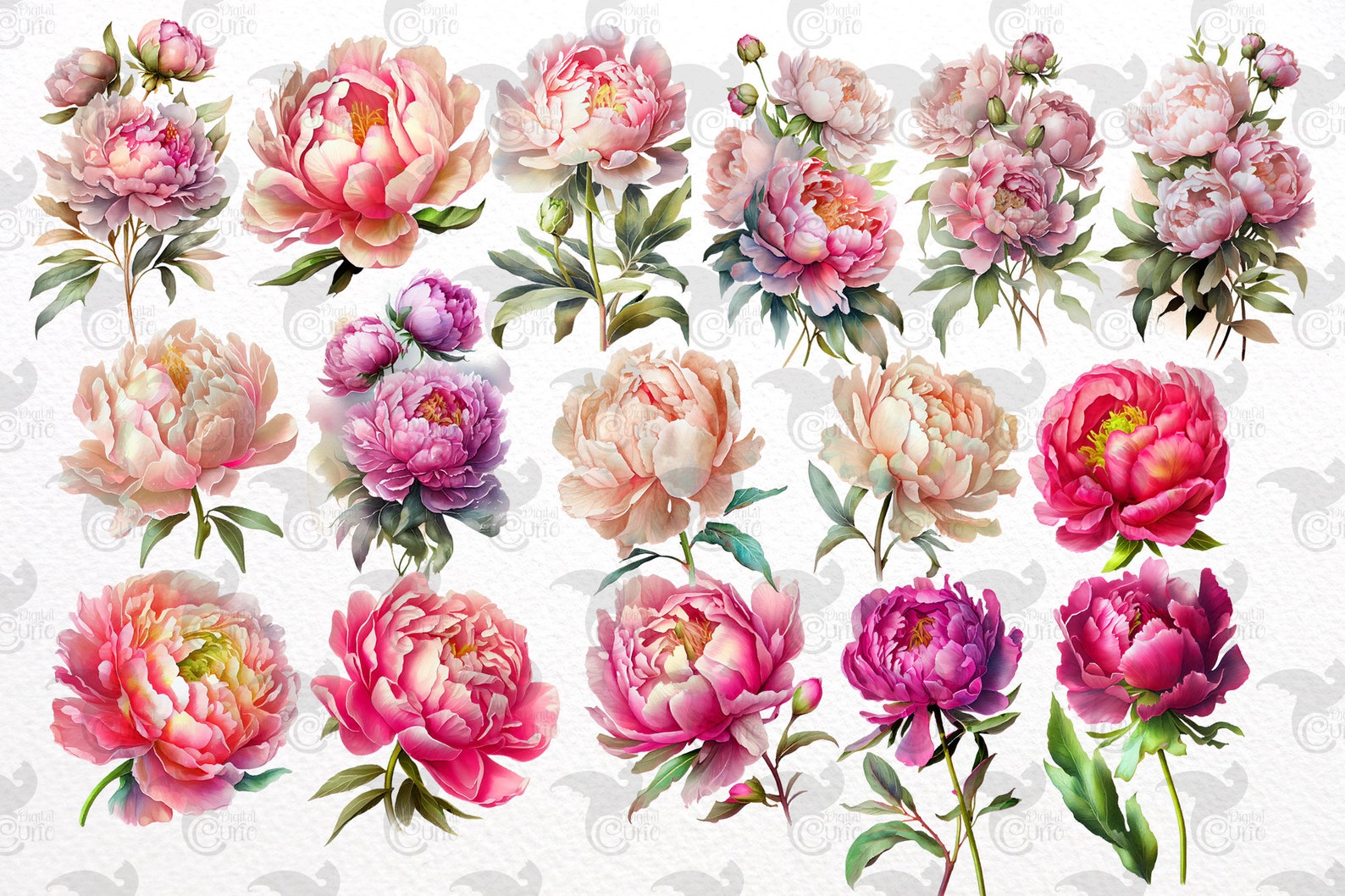 Watercolor Pink Peony Clipart - Peonies in PNG Format Instant Download ...