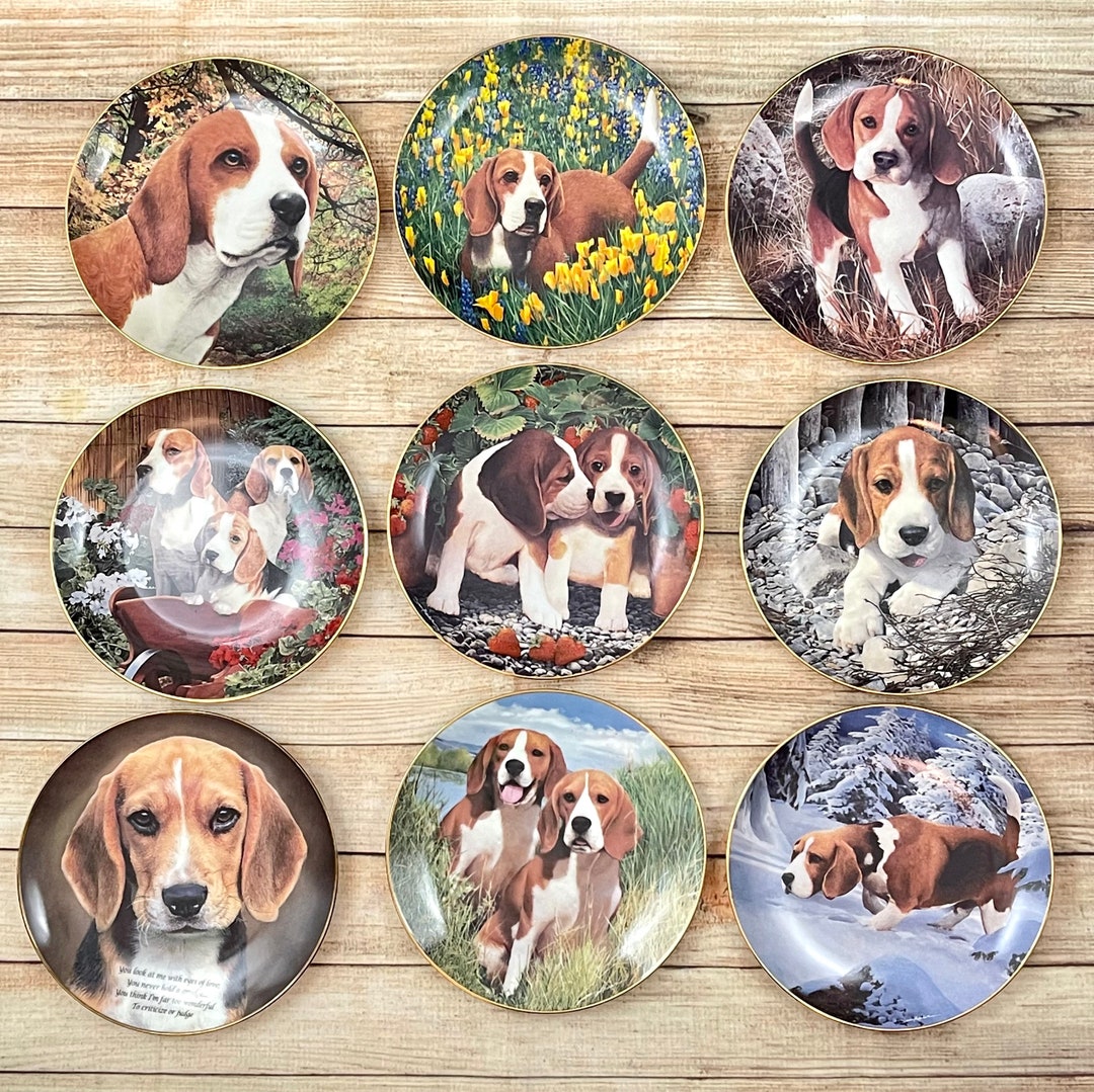 Danbury Mint BEAGLES by Simon Mendez Lot Set of 9 Plates 8 Etsy