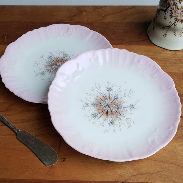 Vintage china small dessert plates pink floral forget-me-nots shabby chic country home decor Edwardian era