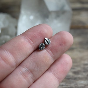 May include: A pair of silver leaf stud earrings. The earrings are small and delicate, with a simple design.