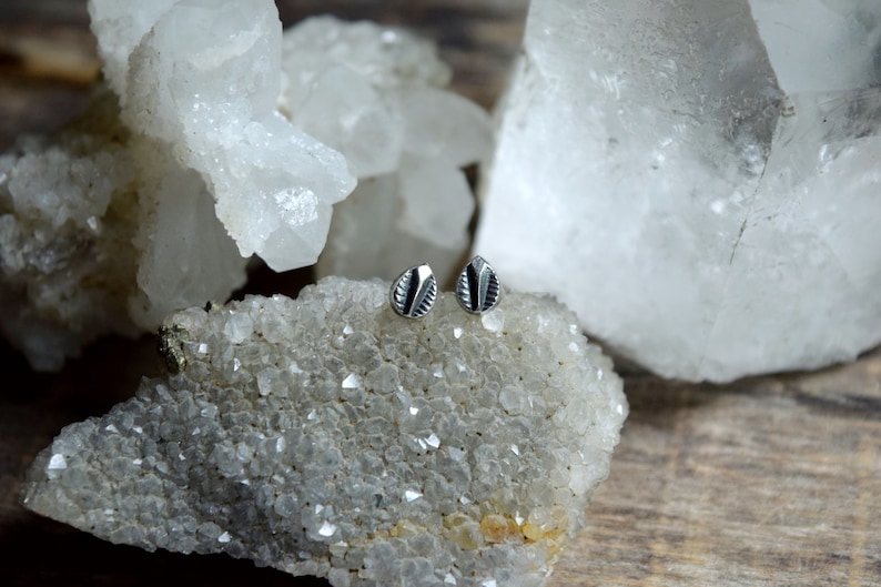 May include: A pair of silver leaf-shaped stud earrings with a geometric design, displayed on a bed of white crystals.