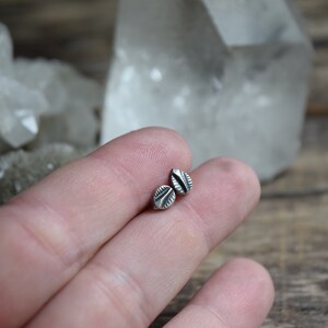 May include: A pair of silver stud earrings with a leaf design.