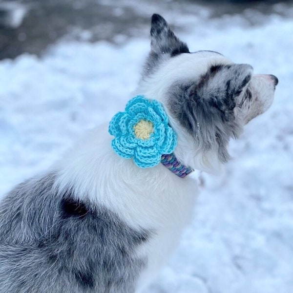 Dog Collar Flower | Crochet Flower Insert for Dogs or Cats Collar | Pet Accessories | Cat Collar Flower | Wedding Collar