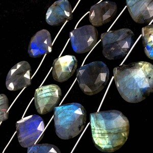 May include: A strand of faceted labradorite gemstone beads in a teardrop shape. The beads are strung on silver wire and have a blue, green, and black iridescent sheen.