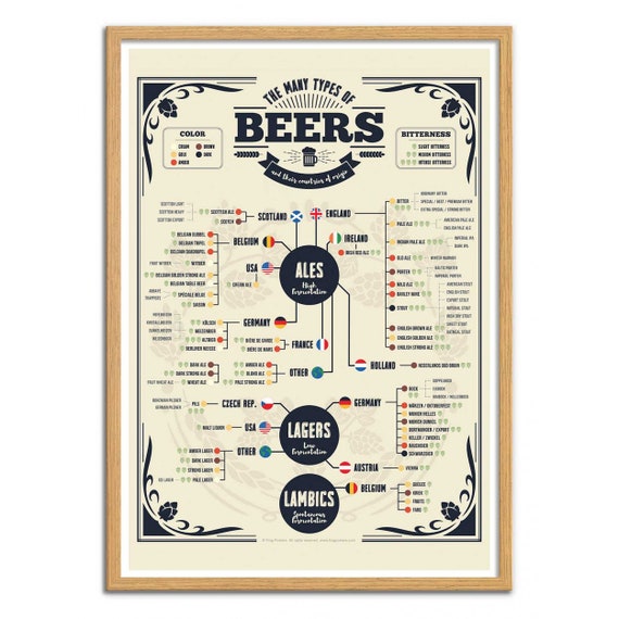 Beer Infographic Poster