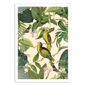 Art-Poster - Parrocchetto della giungla - Andrea Haase
