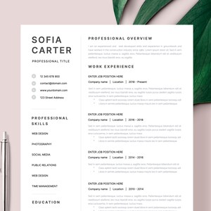 CV Resume Template Word, Mac Pages with Cover Letter, Modern Resume CV Template Clean Modern CV Template Professional, Basic Resume Template