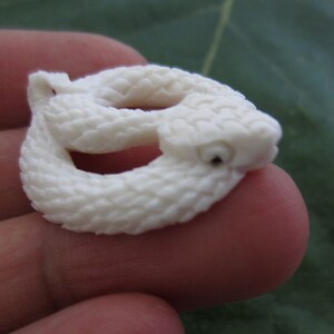 Peut inclure: Figurine de serpent blanc cassé sculptée. Le serpent est enroulé, avec des écailles détaillées et un petit œil sombre. La figurine est probablement en os ou dans un matériau similaire, et repose sur une surface verte.