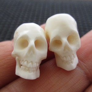 May include: Two small, off-white skull figurines. Each skull has detailed features, including eye sockets, a nasal cavity, and teeth. The skulls are likely carved from a solid material, and are displayed against a neutral background.