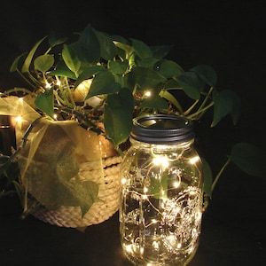 VALUE PACK Fairy Lights for mason jars or crafts with REPLACEABLE batteries. You pick quantity. 20 LEDs / wire, warm white lights. CRFW20 zdjęcie 1