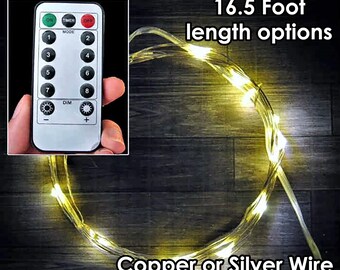 Battery operated Fairy Lights with remote - 8 Different Modes - Timer Setting.  Runs on AA batteries.  Can be used outdoors (weatherproof).