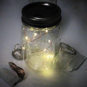 VALUE PACK Fairy Lights with replaceable batteries. You pick quantity. 10 LEDs per wire, warm white lights for mason jars or crafts REP10 image 7