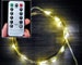 Battery operated Fairy Lights with remote - 8 Different Modes - Timer Setting.  Runs on AA batteries.  Can be used outdoors (weatherproof). 