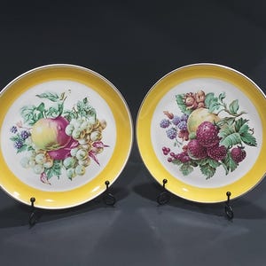 Vintage Set of 2 WS George Fruit Motif Plates with Yellow Border, WS George Salad Plates