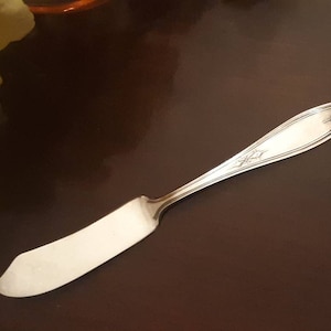 Vintage Wm. A. Rogers Ltd. Silverplate Flat Master Butter Knife, Nuart Pattern