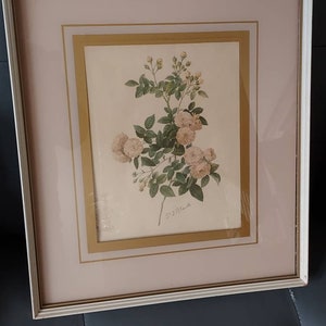 Vintage J.P. Redoute, John Pierre Redoute 1938 Lithograph,Rosa Multiflora Carnea