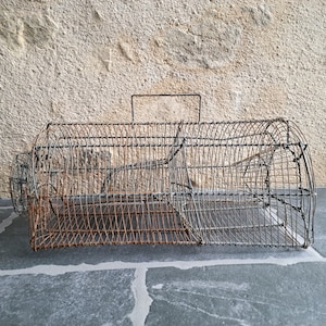 Antique XL Mouse or rat trap. French Vintage, large, moustrap, wired wirework, metal, racket, net, primitive, rustic, halloween collectible