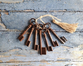 Lot of 7 Antique rustic Skeleton Key set, French vintage Antique, cottage industrial wall decoration Jewelry Assemblage rustic