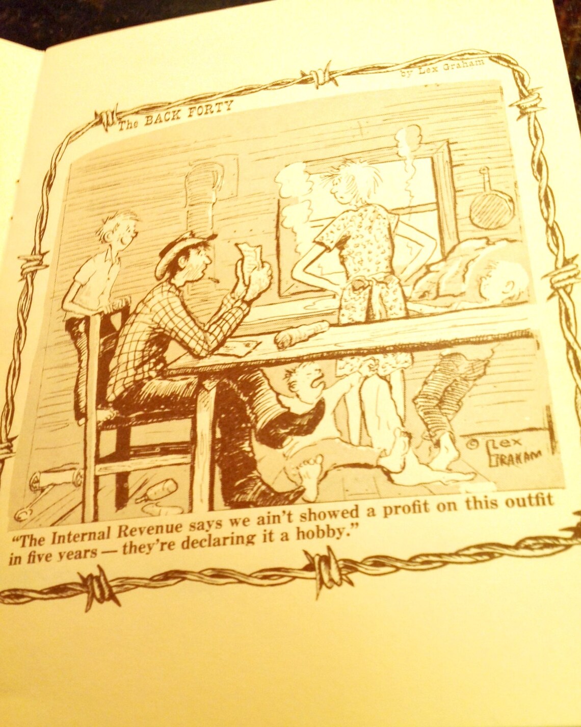 The Back Forty No. 2 by Lex Graham Etsy