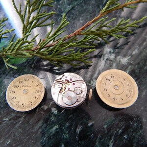 Waltham & Helbros Vintage Watch Button Cover Set