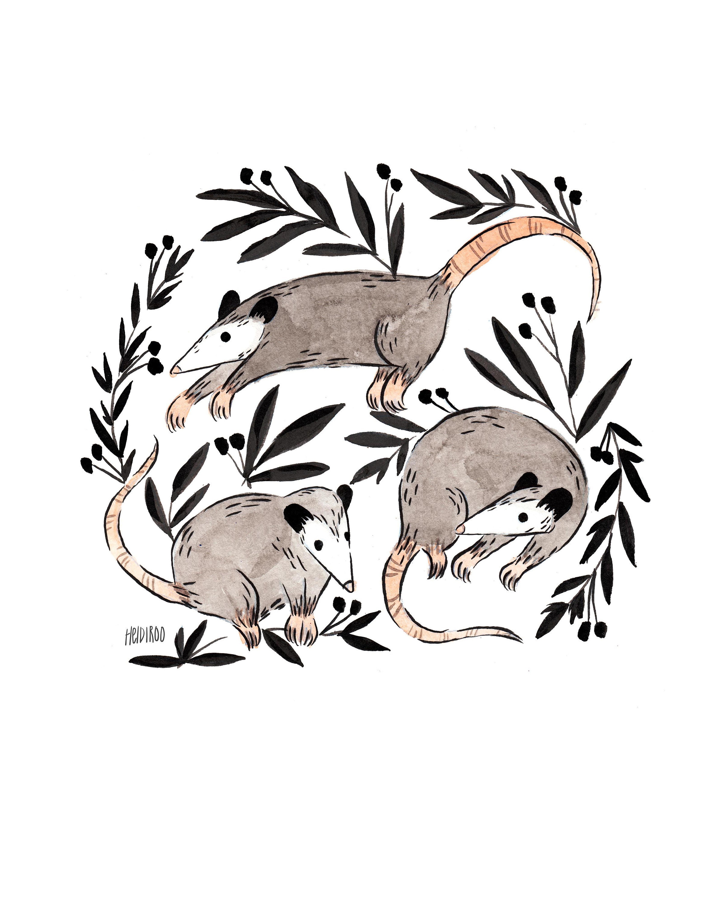 Opossum art print cute opossums print giclee print Etsy