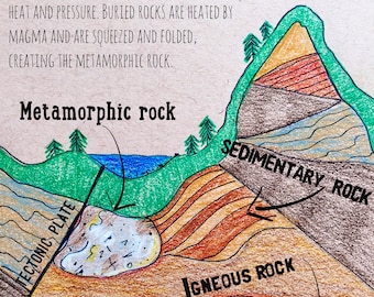 Metamorphic rocks and activity cards pdf