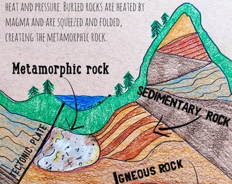 Metamorphic rocks and activity cards pdf