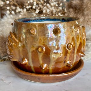 May include: A handcrafted ceramic planter with a unique design. The brown and gold glazed pot features raised, rounded details and pointed spikes. It sits on a matching saucer, perfect for displaying small plants or succulents. The interior has a blue rim.
