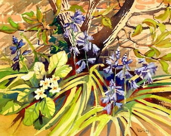 Primroses and Bluebells, Spring in my Garden. Flowers