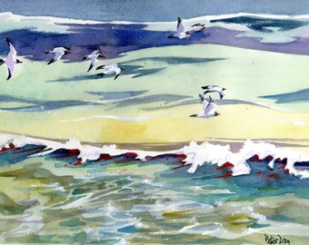 Black Headed Gulls over the Sea