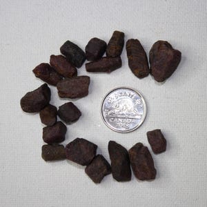 Peut inclure: Une collection de petits cristaux de rubis rouge foncé, rugueux, disposés en cercle autour d'une pièce canadienne de 25 cents. La pièce est datée de 2018.
