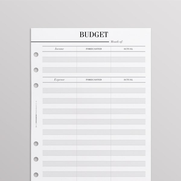 PRINTED A5 Budget Planner Inserts uk | Monthly Budget, Finance Organizer, A5 Finance Binder, | LV Agenda GM Refill | Junior Inserts