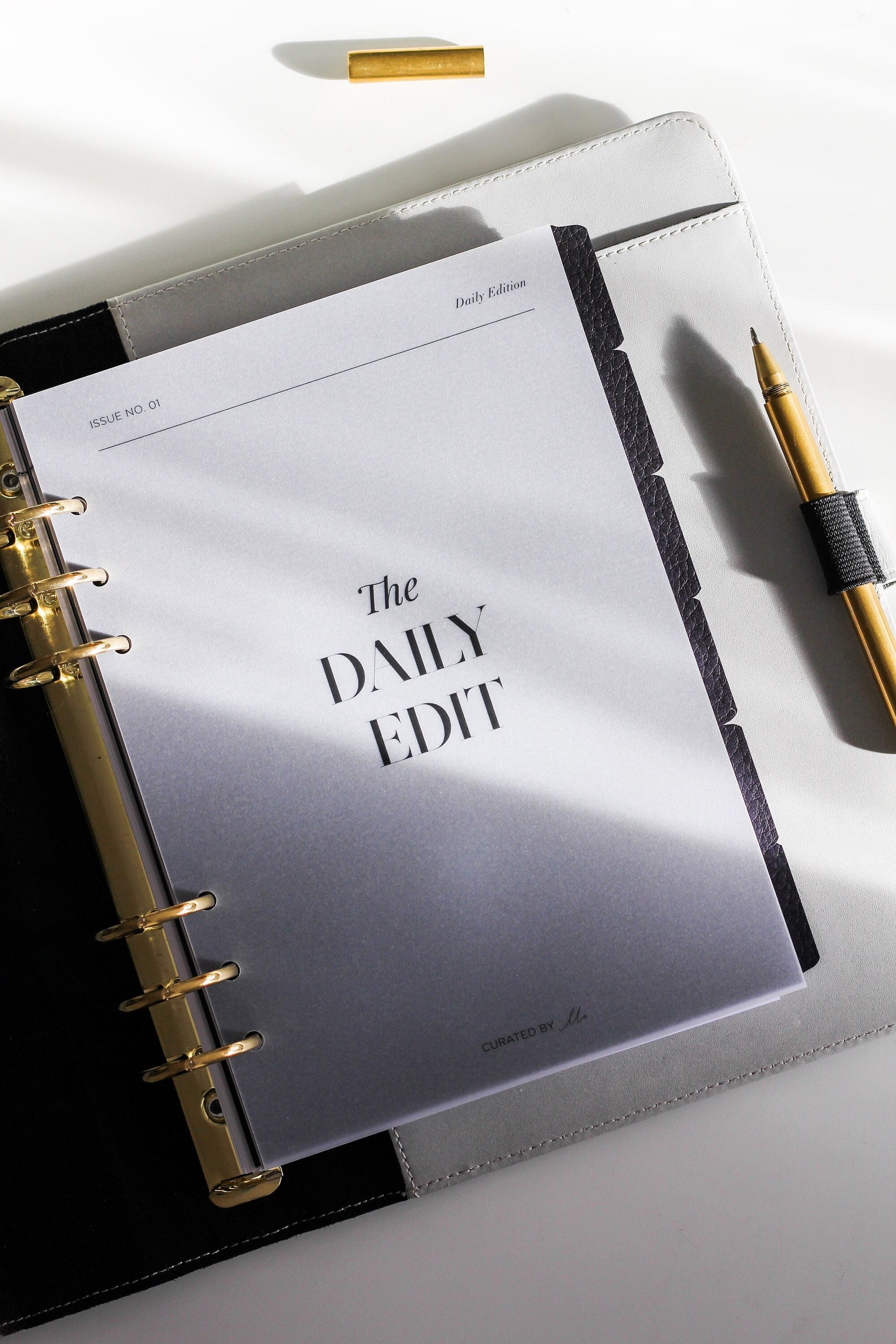 The Daily Edit Vellum Planner Dashboard Set 7 Sectional Etsy