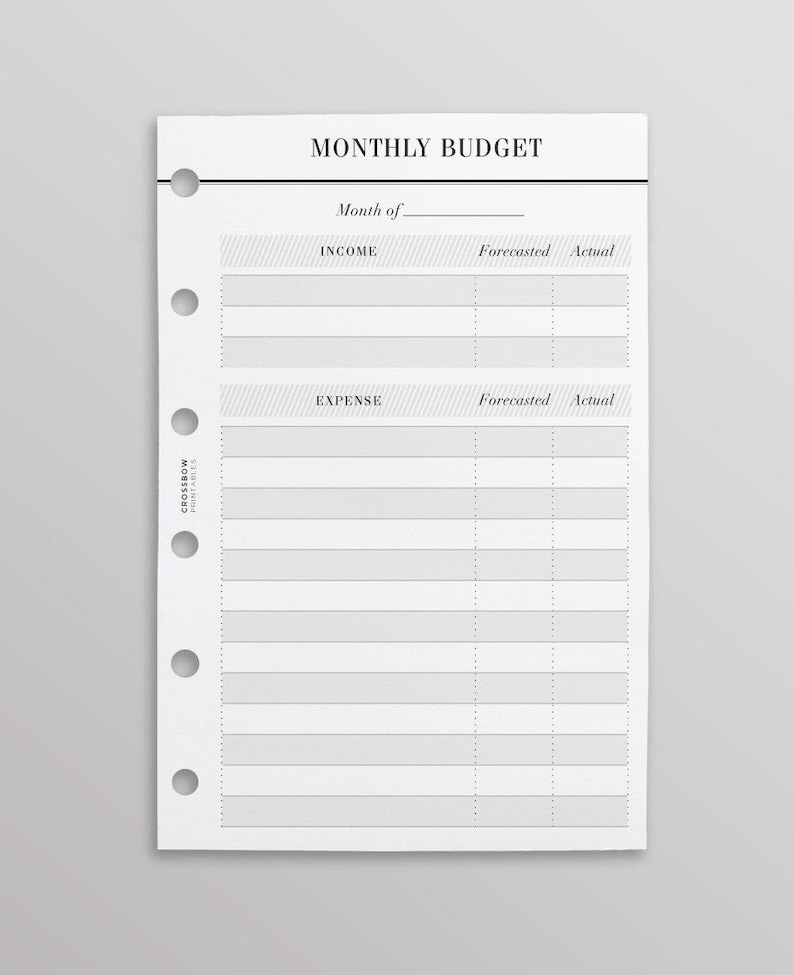 PRINTED Budget Planner Inserts Pocket Size, Monthly Budget On Two Pages, Finance Planner, Printed Pocket Ring Insert, Minimal Planner Insert image 2