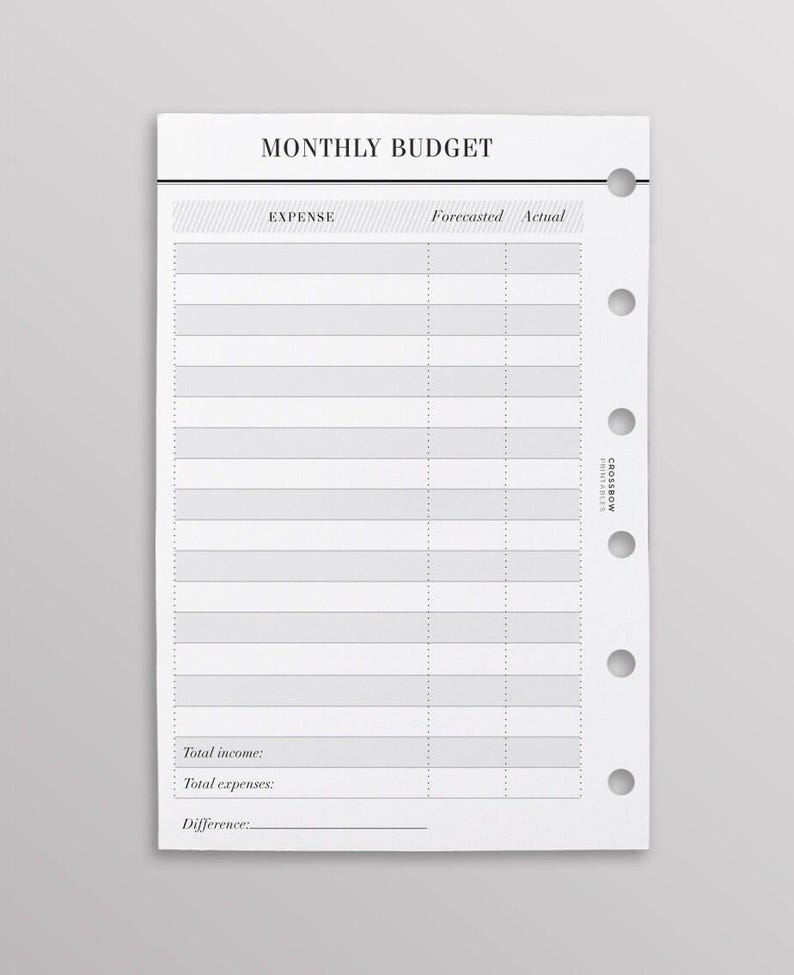 PRINTED Budget Planner Inserts Pocket Size, Monthly Budget On Two Pages, Finance Planner, Printed Pocket Ring Insert, Minimal Planner Insert image 3
