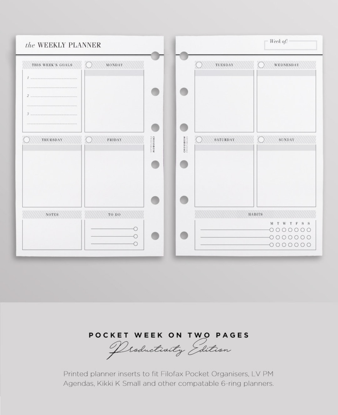FIT Louis Vuitton PM Agenda Small 6 Ring Organizer + Planner Paper + Insert  Pen