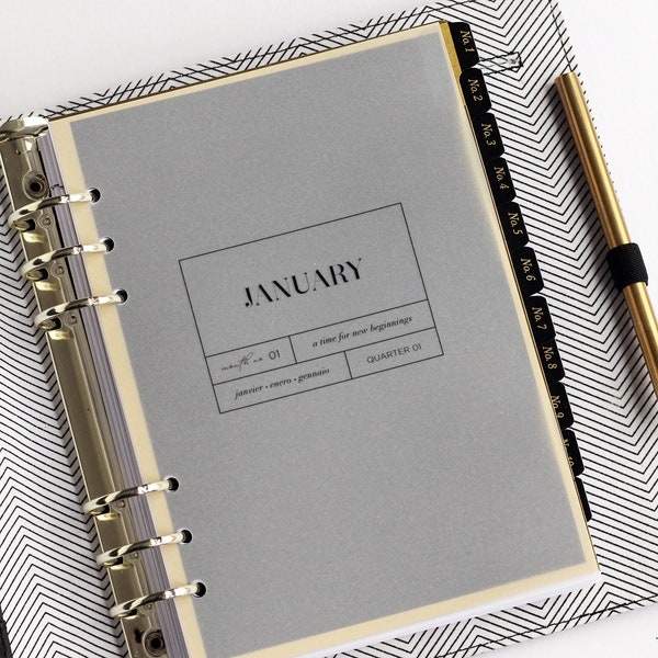 Set de 12 planificadores mensuales con tableros de control, tableros de control de vitela, accesorios para planificadores tamaño A5/personal, minimalistas en blanco y negro, Filofax, agenda LV