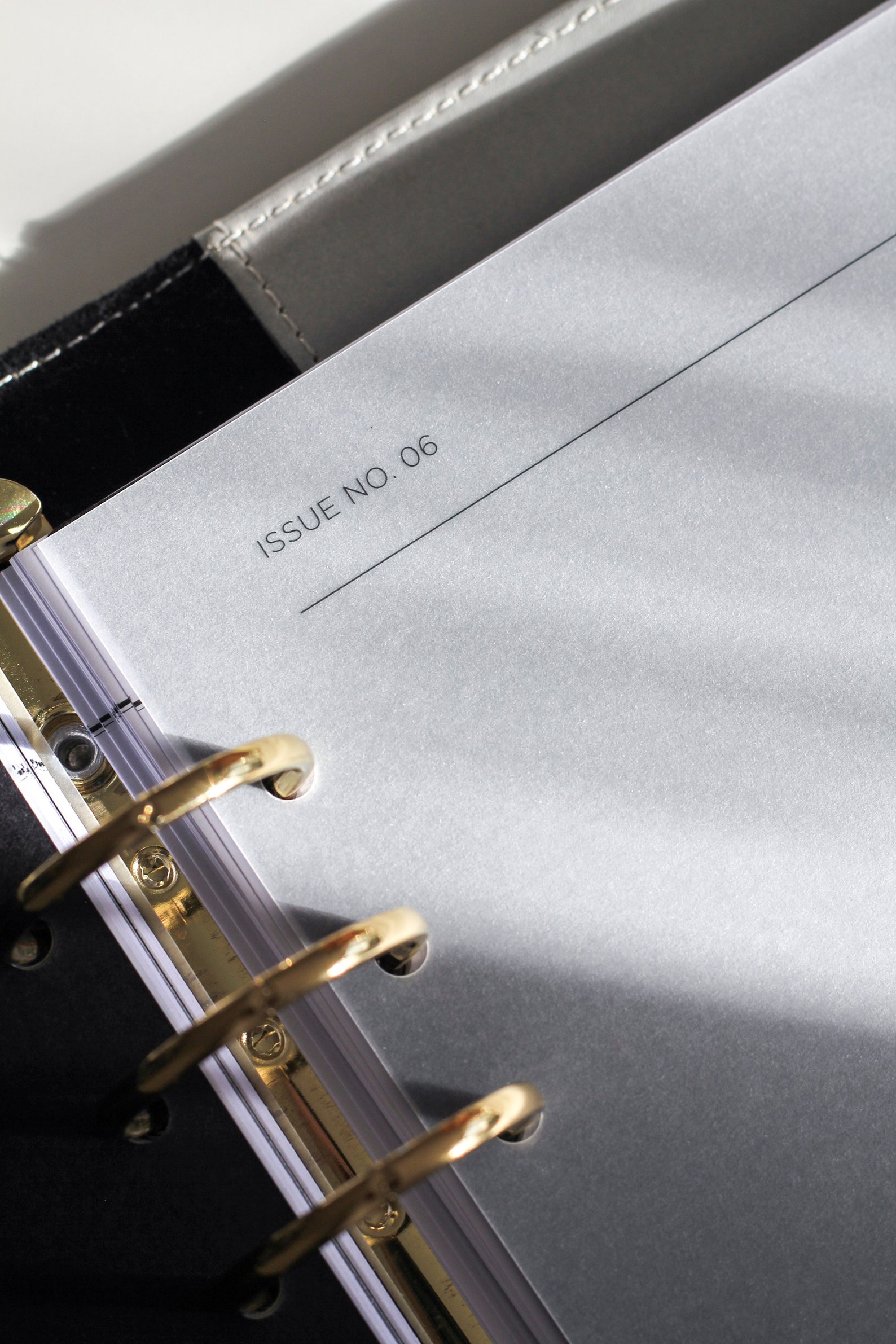 The Daily Edit Vellum Planner Dashboard Set 7 Sectional Etsy