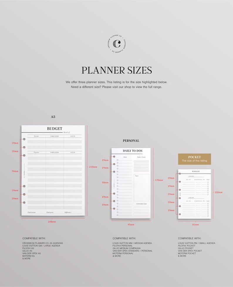 PRINTED Budget Planner Inserts Pocket Size, Monthly Budget On Two Pages, Finance Planner, Printed Pocket Ring Insert, Minimal Planner Insert image 5