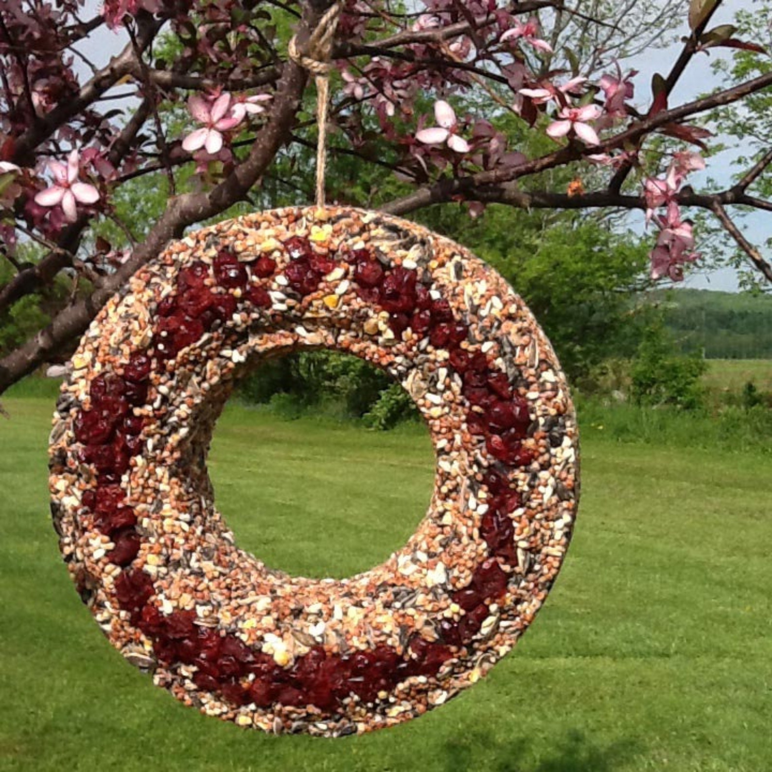 Bird Seed Wreath Bird Feeder Hanging Feeder Garden Decor Etsy