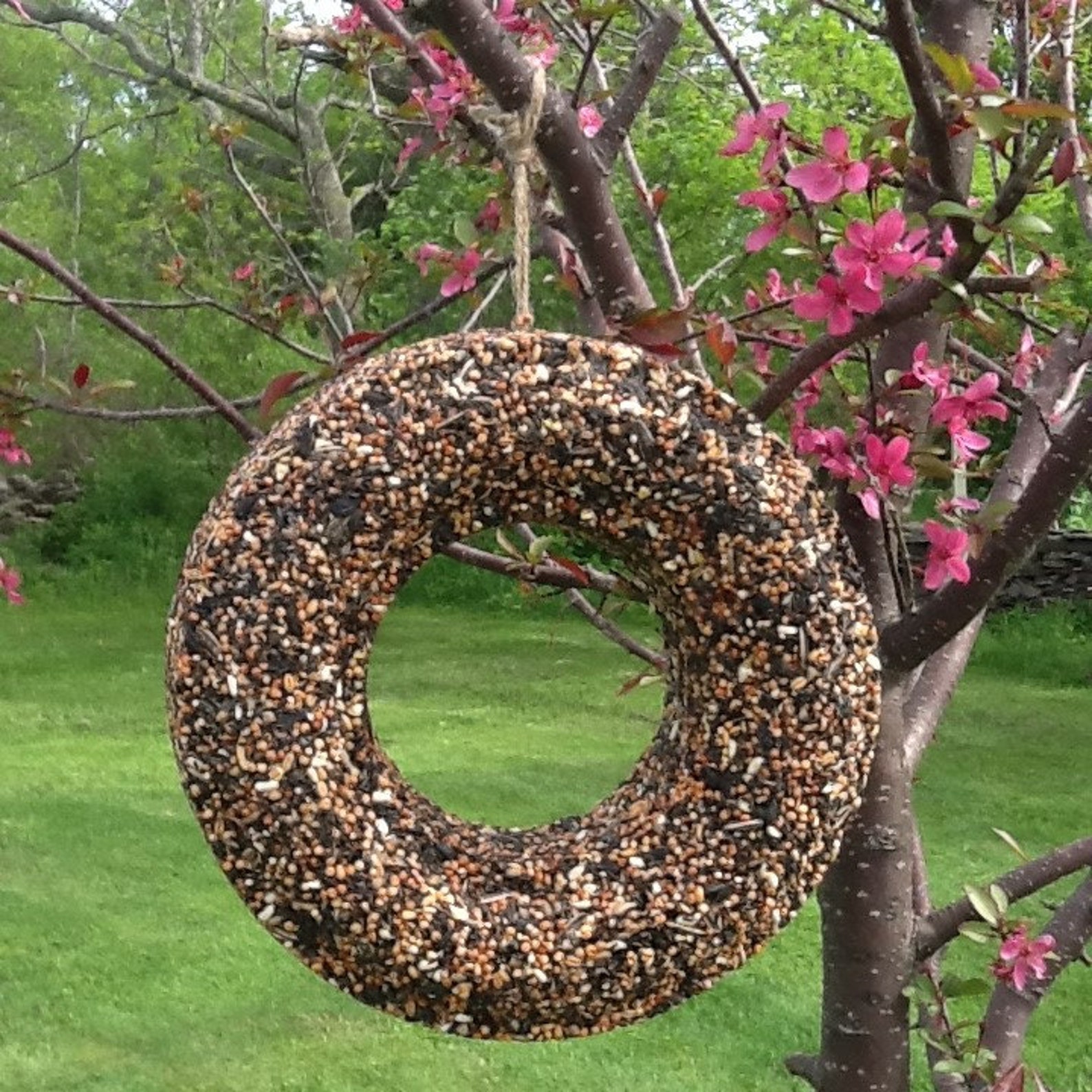Bird Seed Wreath Bird Feeder Hanging Feeder Bird Lover Wedding Etsy