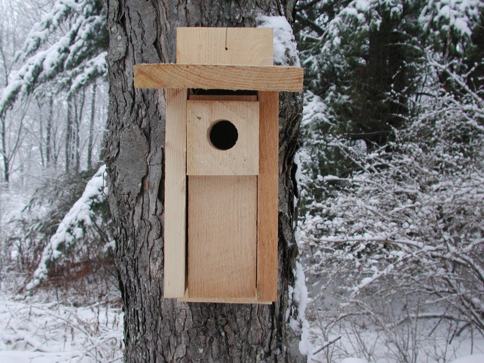 Bluebird House Bluebird Nesting Box Bird House Nesting Box - Etsy