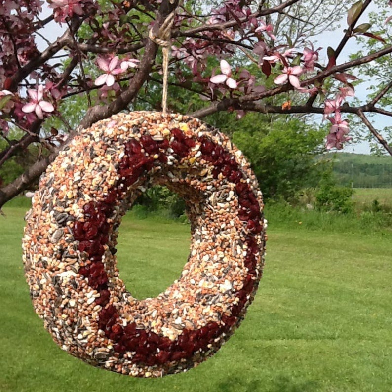 Bird Seed Wreath Bird Feeder Hanging Feeder Garden Decor Etsy