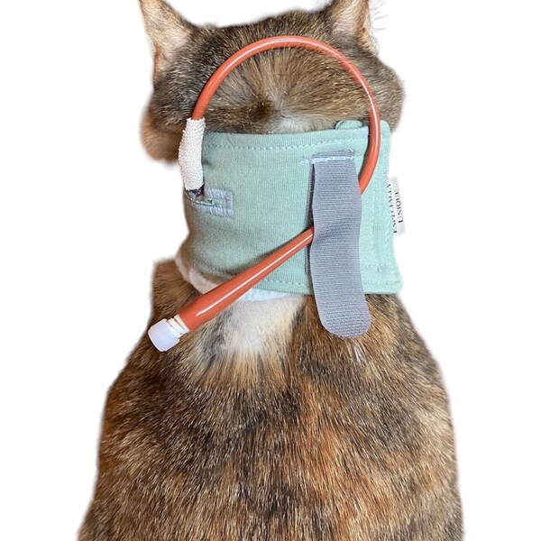 Custom Cat Collar Etsy