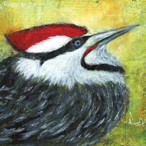 Plieated Woodpecker Fat Bird Art Print by Patricia Lintner