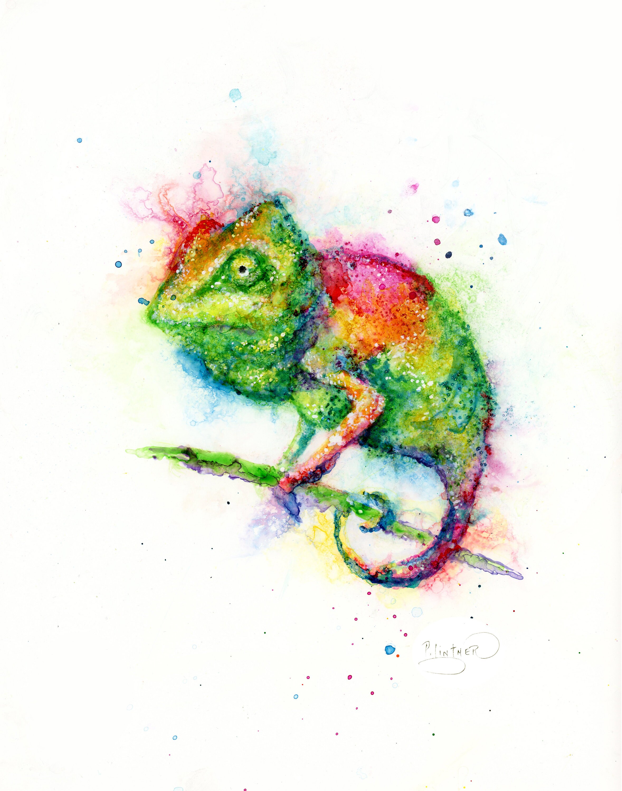 Colorful Chameleon Art Print by Patricia Lintner - Etsy