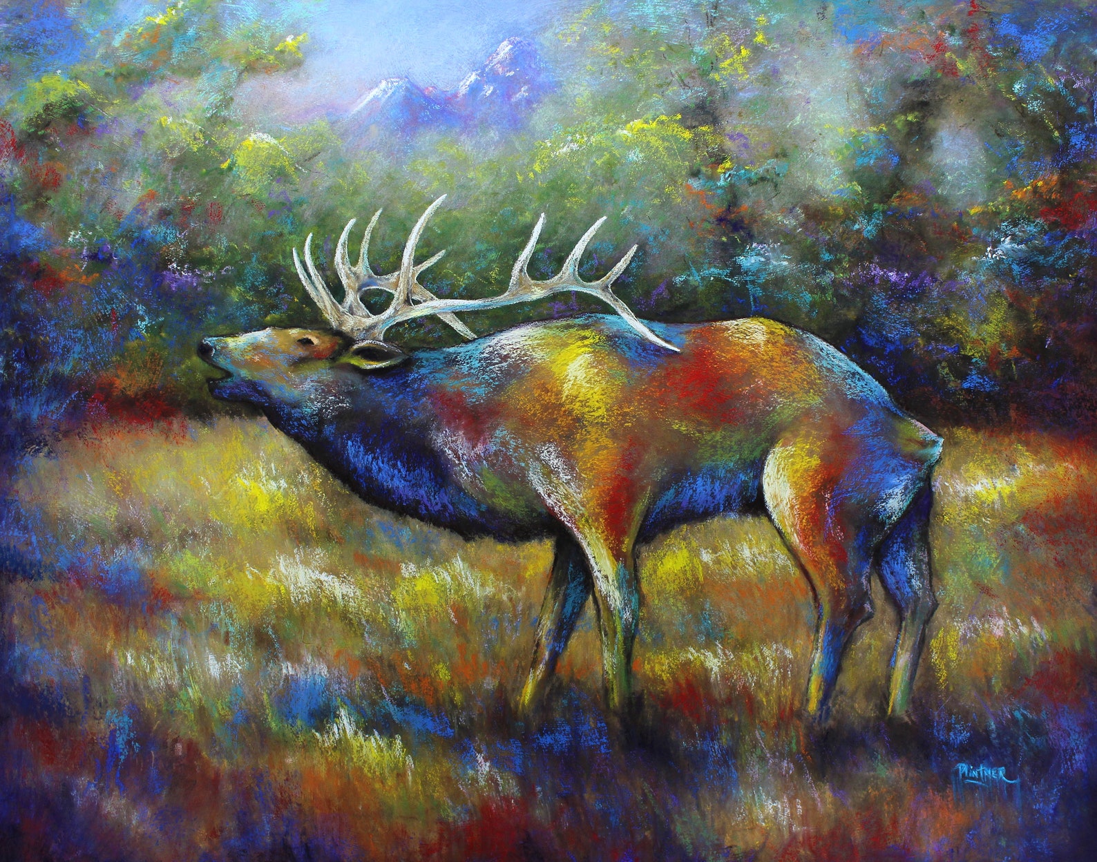 Colorful Elk Art Print by Patricia Lintner - Etsy